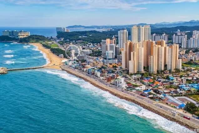 속초 향기로-당일